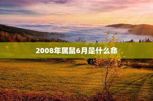 2008年属鼠6月是什么命