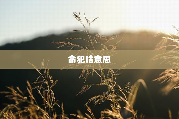 命犯啥意思