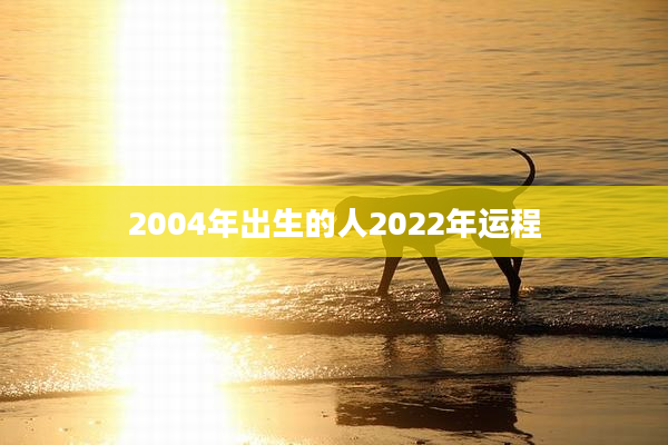 2004年出生的人2022年运程